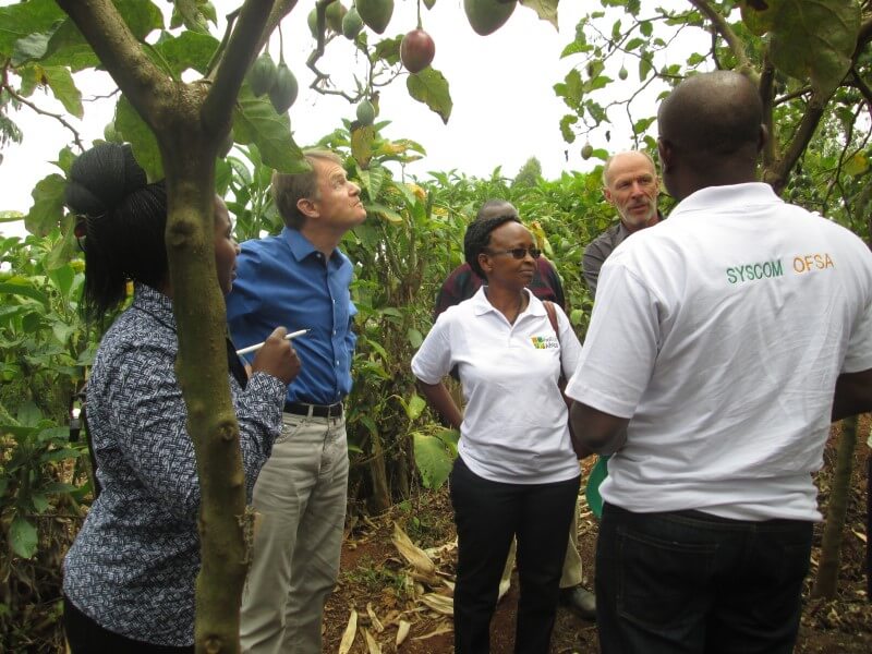 Dr. Ann (middle) of KARLO with other research Partners in beatrice Njuguna_s farm in Kangari ) during a field visit for Pro-eco Africa project
